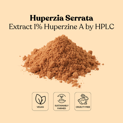 Huperzia Serrata Extract 1% Huperzine A by HPLC