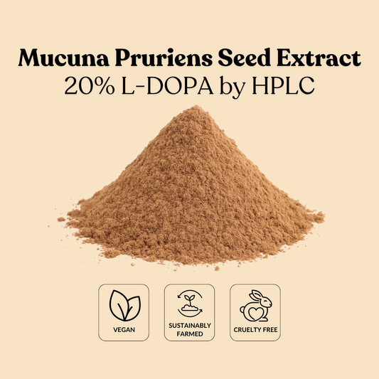 Mucuna Pruriens Seed Extract 20% L-DOPA by HPLC