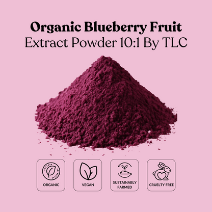 Organic Blueberry Fruit Extract Powder 10:1 By TLC