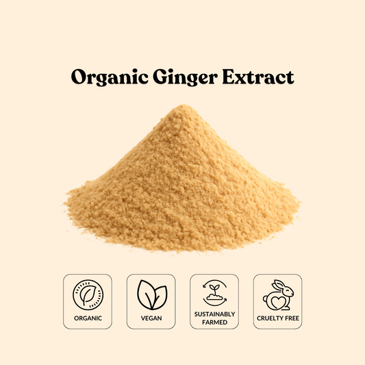 Organic Ginger Extract 4:1 By TLC
