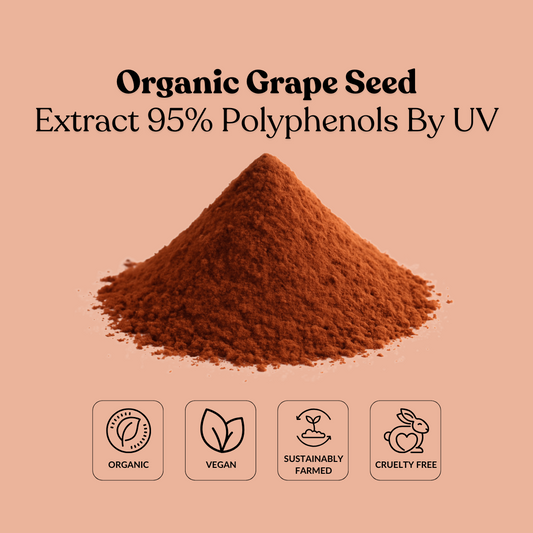 Organic Grape Seed Extract 95% Polyphenols By UV