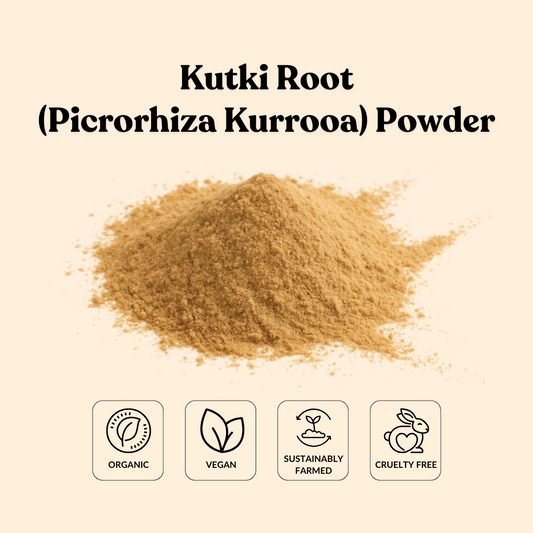 Kutki Root (Picrorhiza Kurrooa) Powder