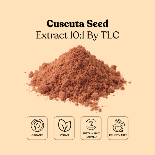 Cuscuta Seed Extract 10:1 By TLC