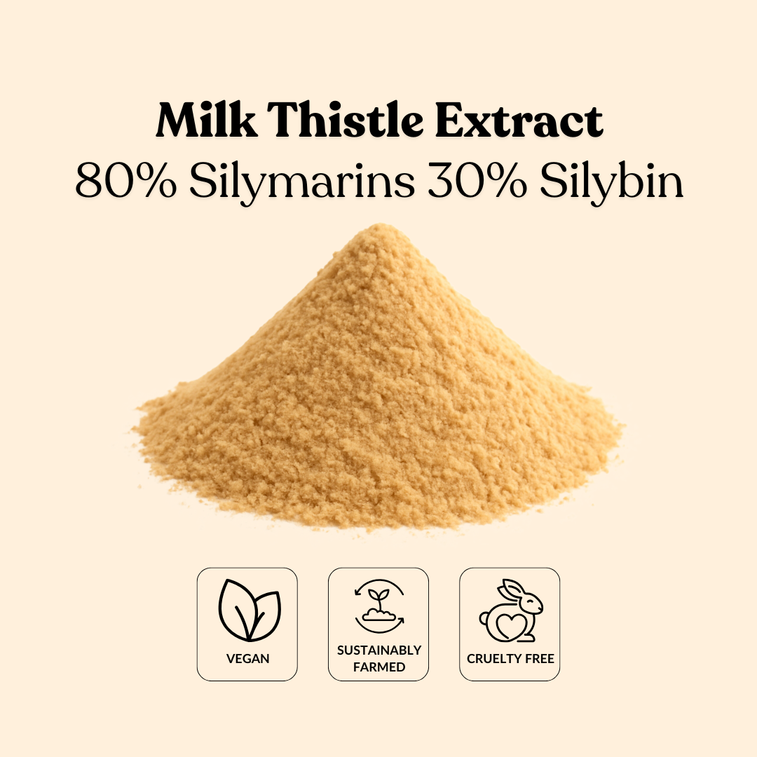 Milk Thistle Extract 80% Silymarins 30% Silybin