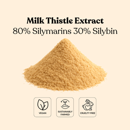 Milk Thistle Extract 80% Silymarins 30% Silybin