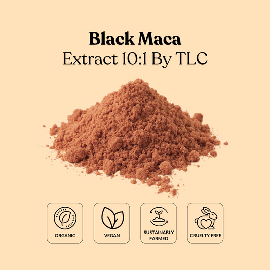 Black Maca Extract 10:1 By TLC