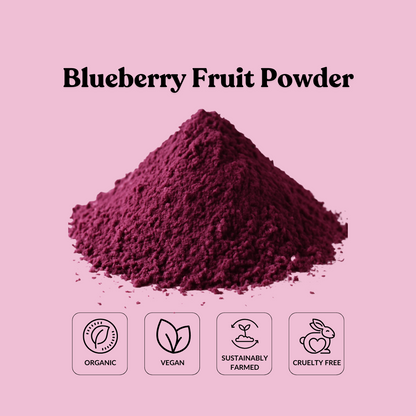 Blueberry Fruit Powder