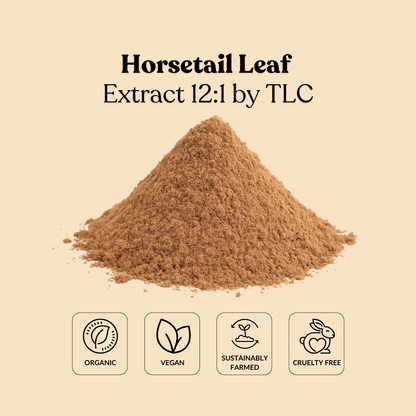 Horsetail Leaf Extract 12:1 by TLC