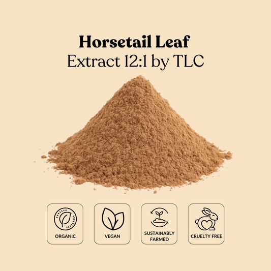 Horsetail Leaf Extract 12:1 by TLC