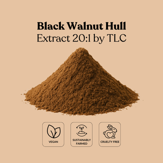 Black Walnut Hull Extract 20:1 by TLC