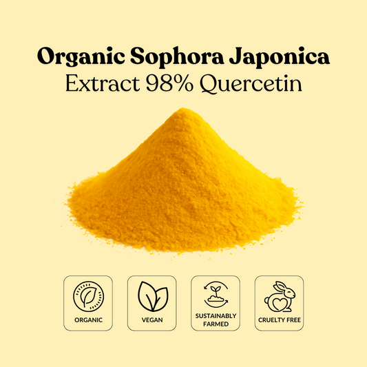 Organic Sophora Japonica Extract 98% Quercetin