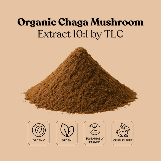 Organic Chaga Mushroom Extract 10:1 by TLC