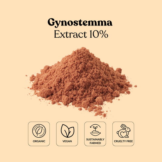 Gynostemma Extract 10%