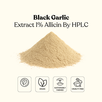Black Garlic Extract 1% Allicin By HPLC