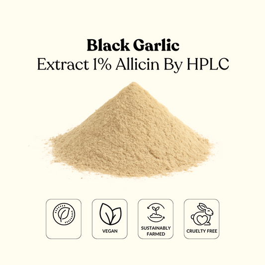 Black Garlic Extract 1% Allicin By HPLC