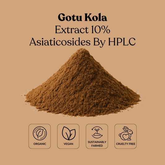 Gotu Kola Extract 10% Asiaticosides By HPLC