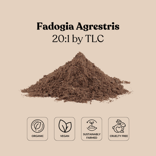 Fadogia Agrestris 20:1 by TLC