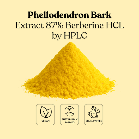 Phellodendron Bark Extract 87% Berberine HCL by HPLC