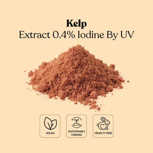 Kelp Extract 0.4% Iodine By UV