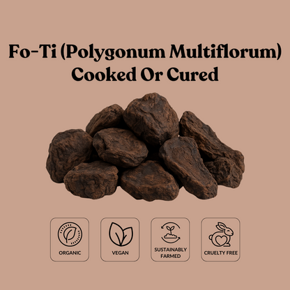 Fo-Ti (Polygonum Multiflorum) Cooked Or Cured