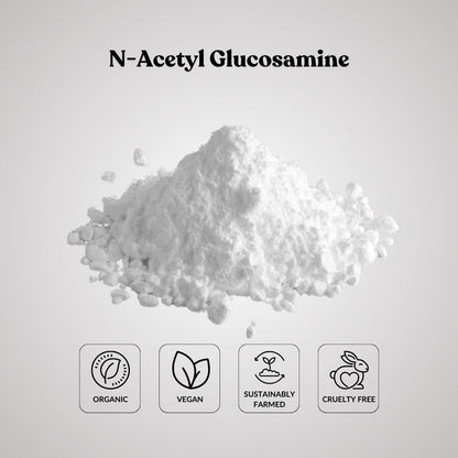 N-Acetyl Glucosamine