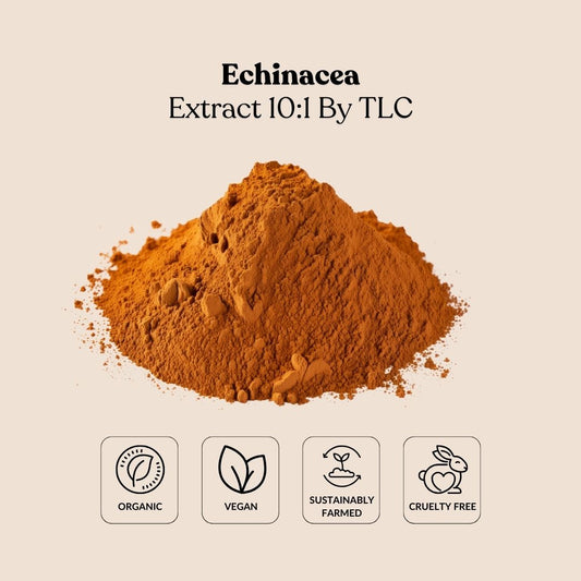 Echinacea Extract 10:1 By TLC