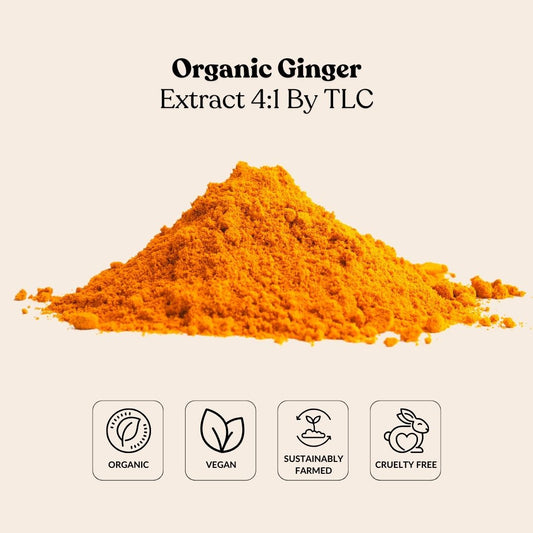 Organic Ginger Extract 4:1 By TLC