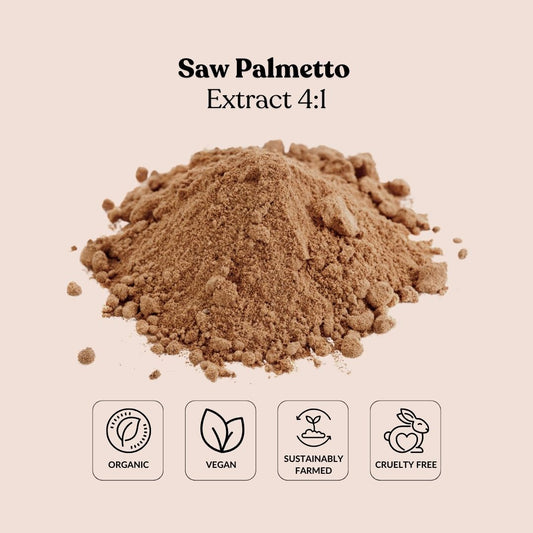 Saw Palmetto Extract 4:1