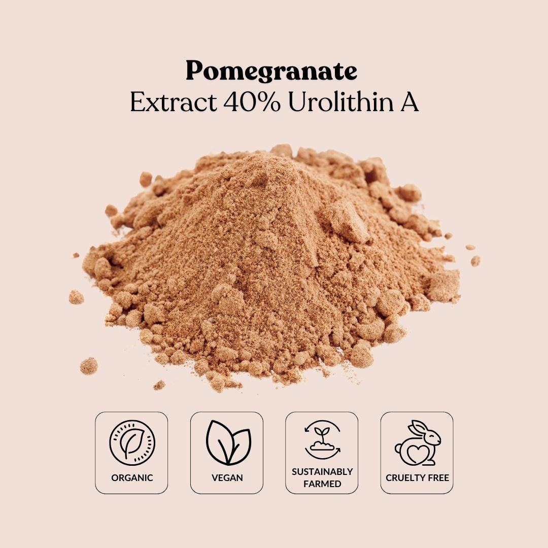 Pomegranate Extract 40% Urolithin A