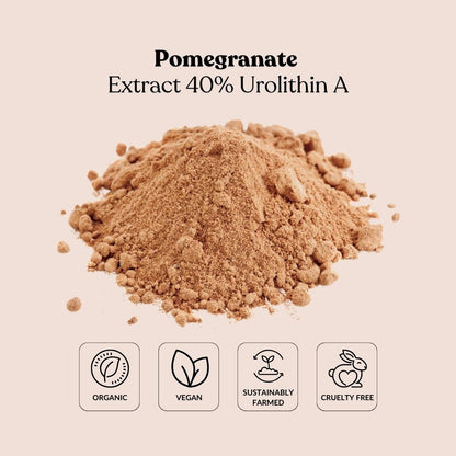 Pomegranate Extract 40% Urolithin A