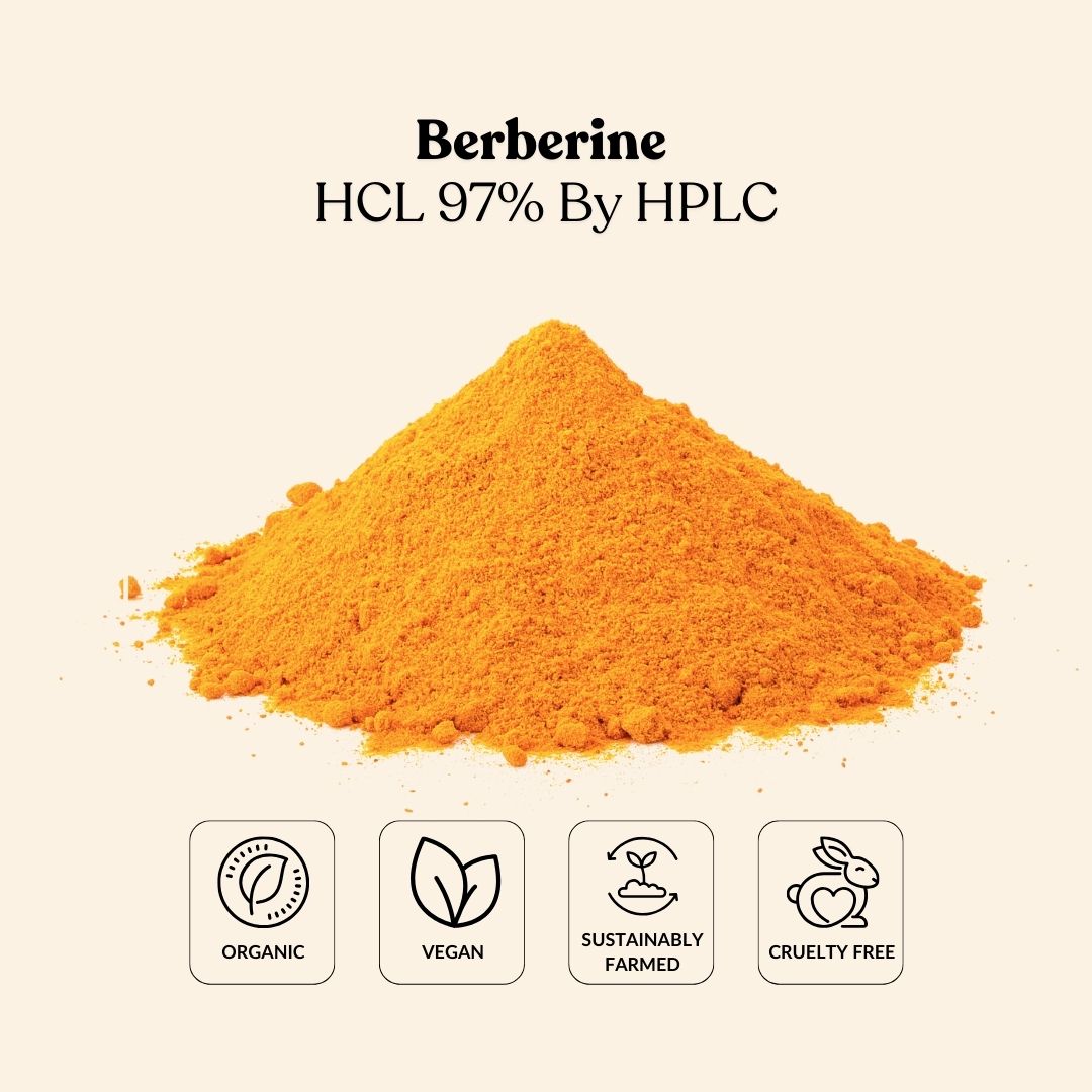 Berberine HCL 97% By HPLC