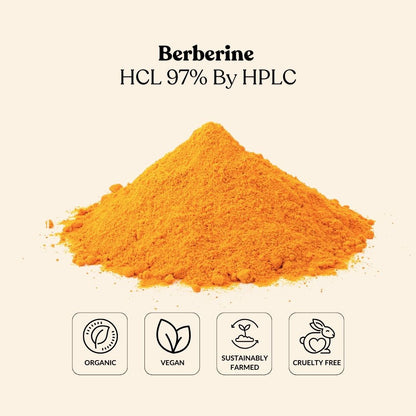 Berberine HCL 97% By HPLC