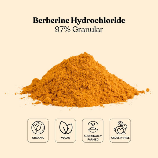 Berberine Hydrochloride 97% Granular