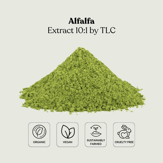 Alfalfa Extract 10:1 by TLC