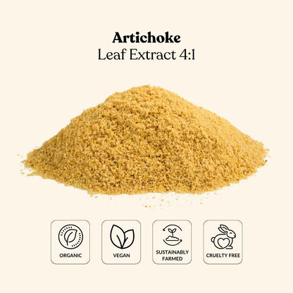 Artichoke Leaf Extract 4:1