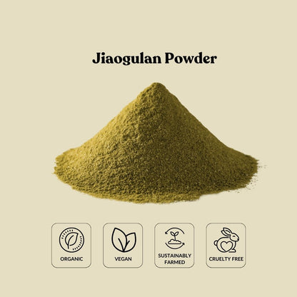 Jiaogulan Powder