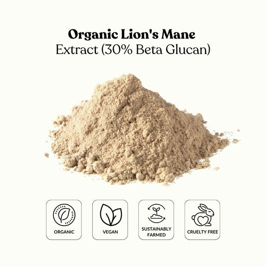 Organic Lion's Mane Extract (30% Beta Glucan)