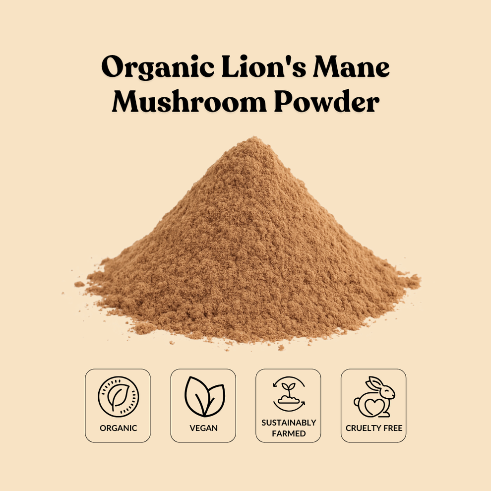 Organic Lion's Mane Mushroom Powder – Total Ingredients