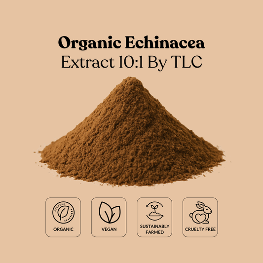 Organic Echinacea Extract 10:1 By TLC
