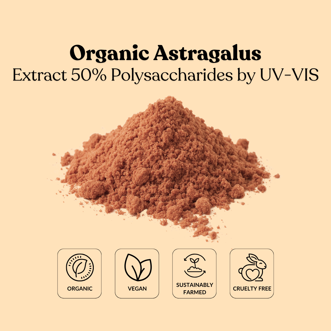Organic Astragalus Extract 50% Polysaccharides by UV-VIS