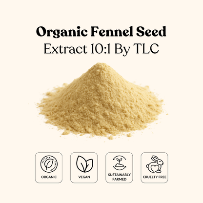 Organic Fennel Seed Extract 10:1 By TLC