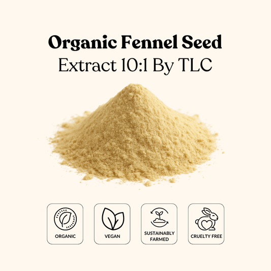 Organic Fennel Seed Extract 10:1 By TLC