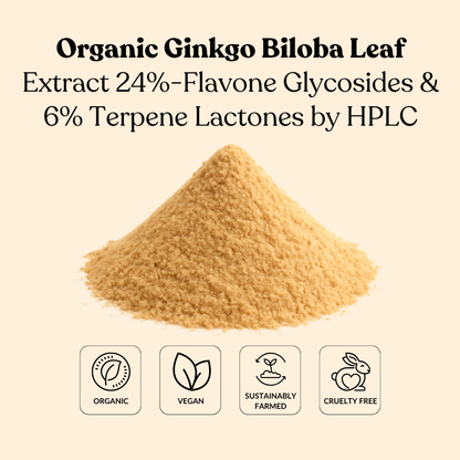 Organic Ginkgo Biloba Leaf Extract 24%-Flavone Glycosides & 6% Terpene Lactones by HPLC