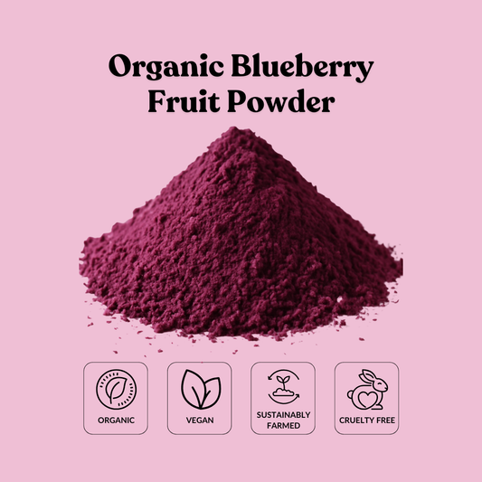 Organic Blueberry Fruit Powder