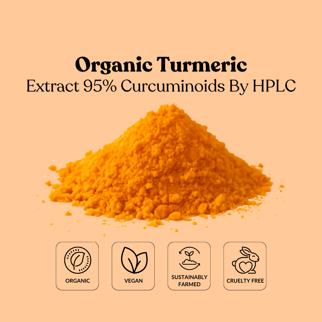 Organic Turmeric Extract 95% Curcuminoids By HPLC