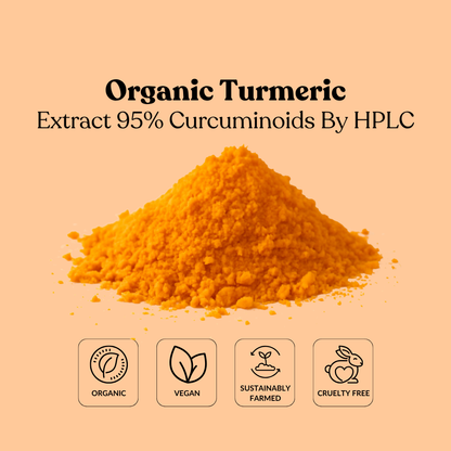 Organic Turmeric Extract 95% Curcuminoids By HPLC