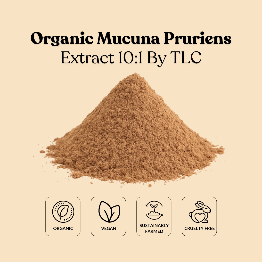 Organic Mucuna Pruriens Extract 10:1 By TLC
