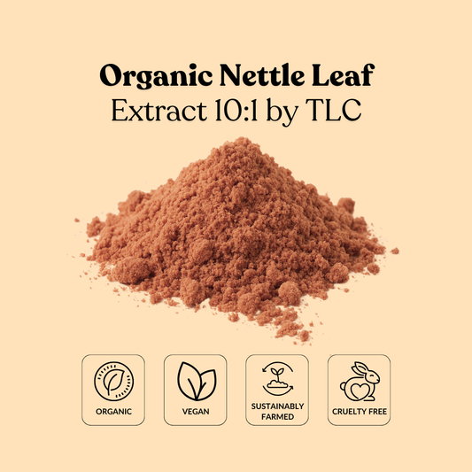 Organic Nettle Leaf Extract 10:1 by TLC