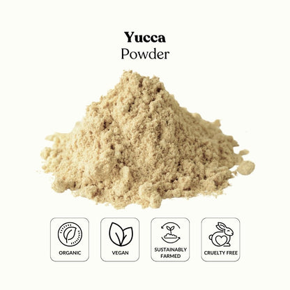 Yucca Powder