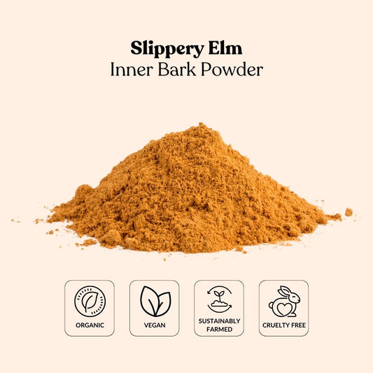 Slippery Elm Inner Bark Powder